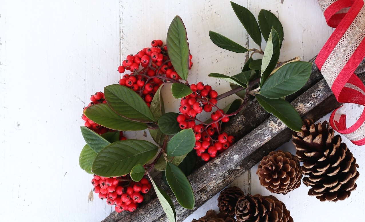 Winter solstice Canterbury